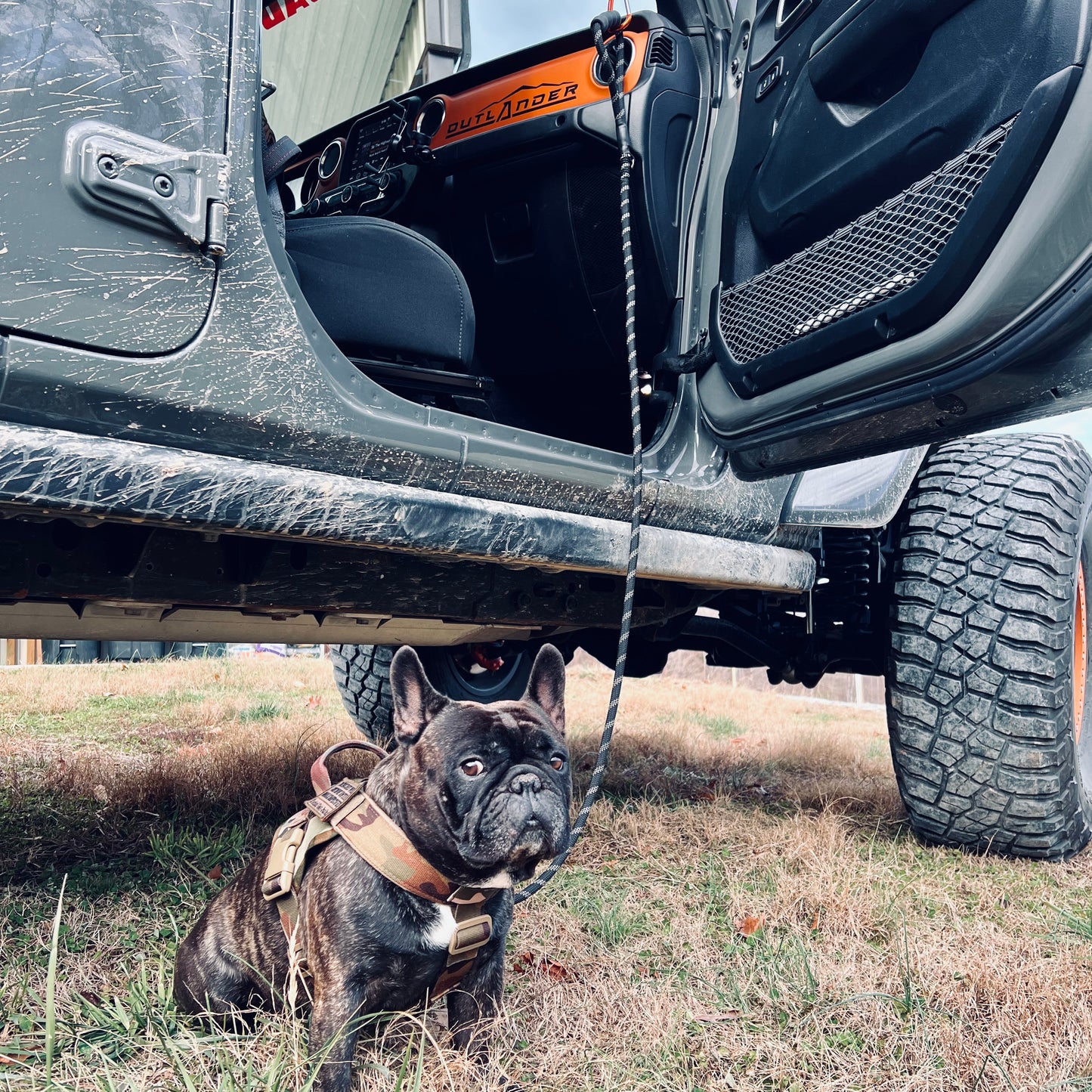 Delete Pro with Leash