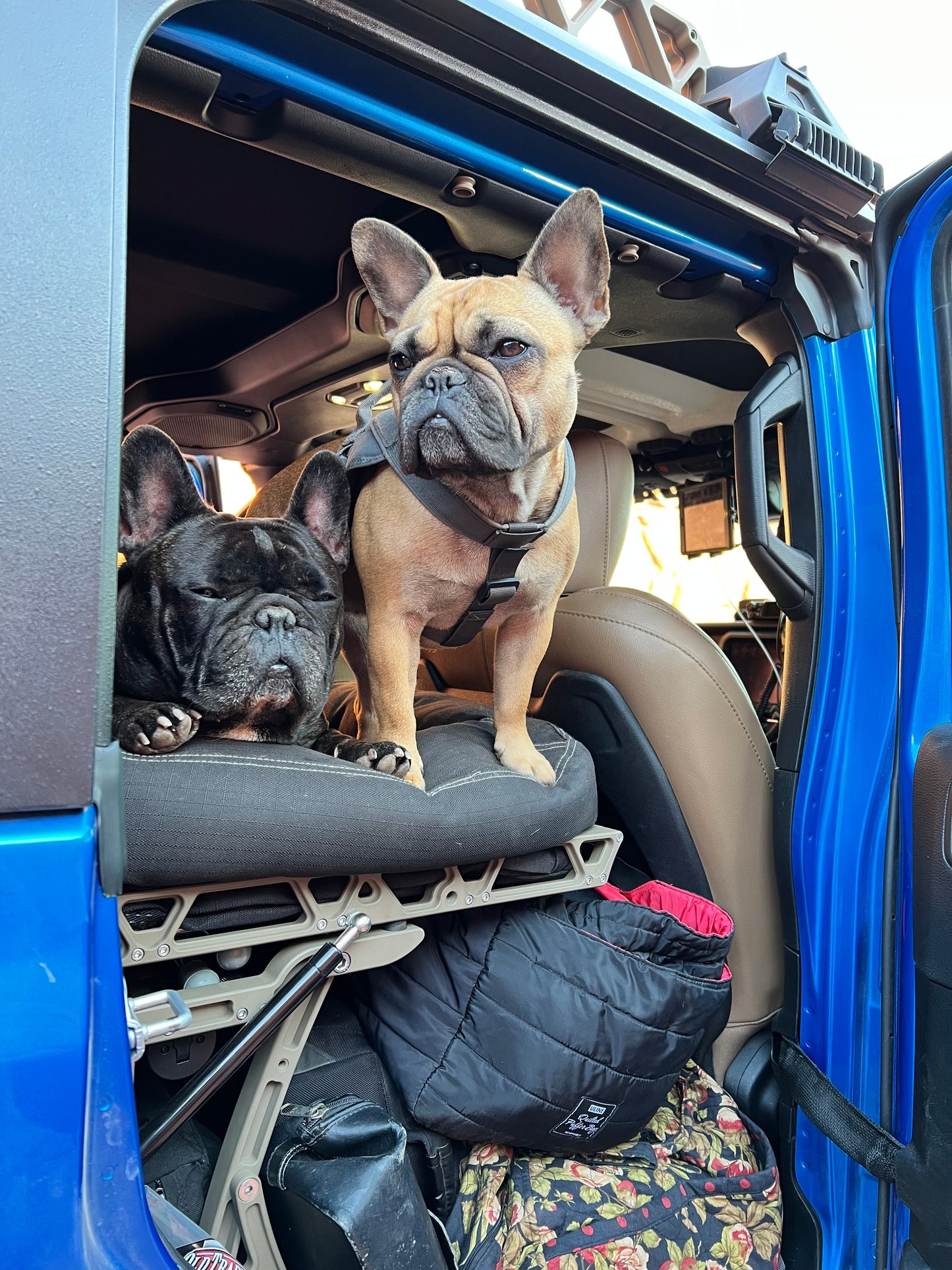 RSDR (Rear Seat Delete Rack)